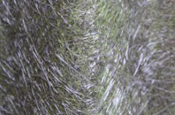 Sawley fibreglass roof work